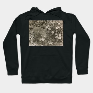 Untitled (Flowers) Hoodie